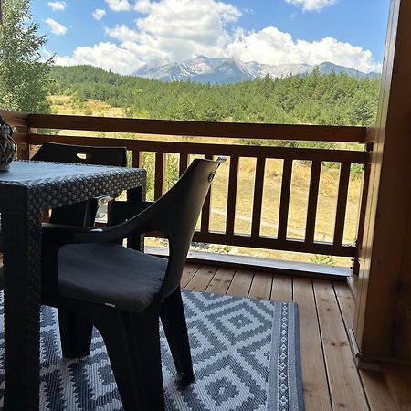 Ferienwohnung Pm Mountain View Fireside Retreat Bansko Exterior foto